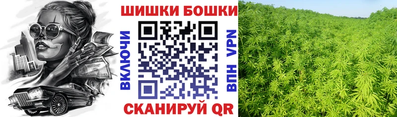 Бошки Шишки семена  Андреаполь 